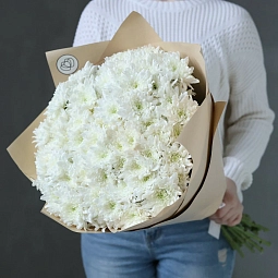 Букет из 15 белых кустовых хризантем
