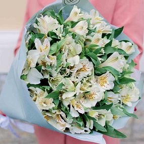 Нежный букет  из 25 белых альстромерий