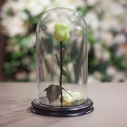 Фисташковая роза в колбе 28 см
