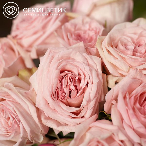 Букет из 51 розовой пионовидной розы Pink O'Hara 40 см