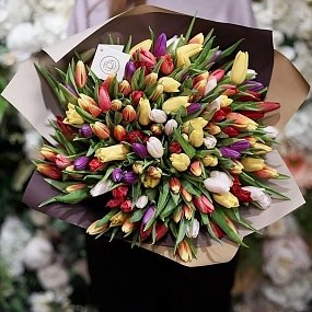 Букет из 151 тюльпана микс в бордовой пленке