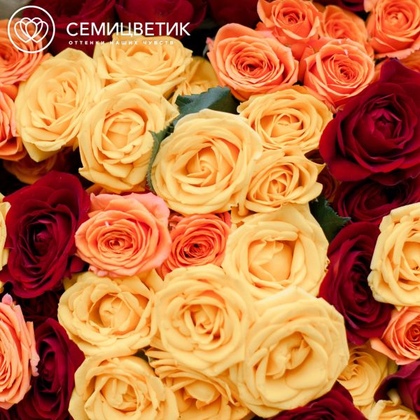 Букет из 25 красных, оранжевых и желтых кустовых роз 40 см (Эквадор)