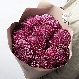 Букет из 9 одноголовых фиолетовых хризантем