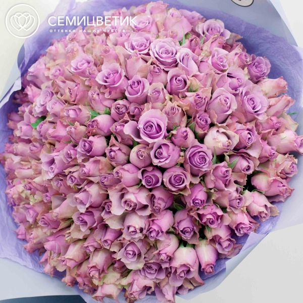 Букет из 151 сиреневой розы 40 см (Кения)
