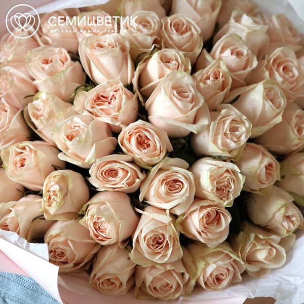 Букет из 51 нежно-розовой розы с крупным бутоном 40 см (Кения)