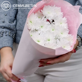 Букет из 3 белых кустовых хризантем в розовой пленке