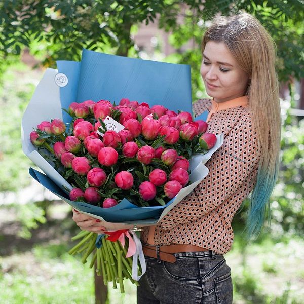 Пионы коралловые
