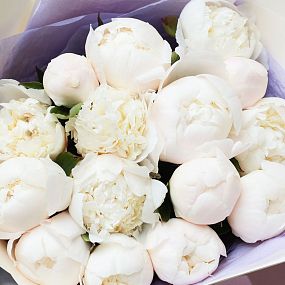 Букет из 15 кремовых пионов Bowl of Cream Premium