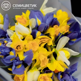 Букет из 20 нарциссов и 9 ирисов в сиреневой пленке