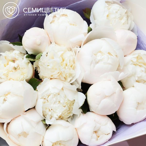 Букет из 15 кремовых пионов Bowl of Cream Premium