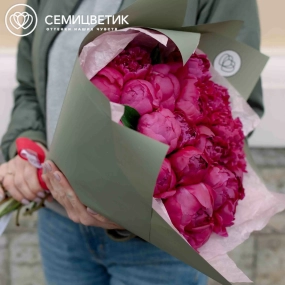 Букет из 25 ярко-розовых пионов Standart Plus в зеленой пленке
