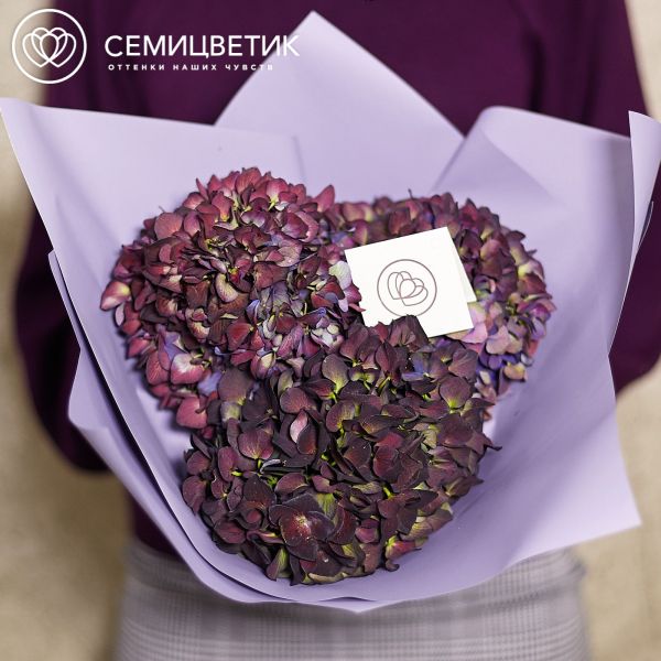 Букет из 3 тёмно-бордовых гортензий