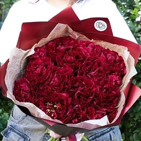 Букет из 15 бордовых пионов Old Faithful Standart Plus в бордовой пленке