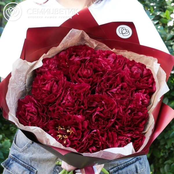 Букет из 15 бордовых пионов Old Faithful Standart Plus в бордовой пленке