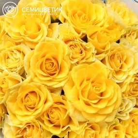 Букет из 25 желтых роз 35-40 см (Россия) в сиреневой пленке