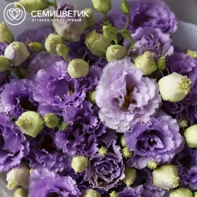 Букет из 11 сиреневых махровых лизиантусов в прозрачной упаковке