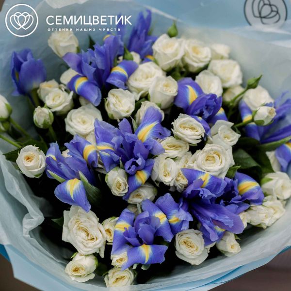Букет из 13 белых кустовых роз 40 см (Кения) и 10 синих ирисов