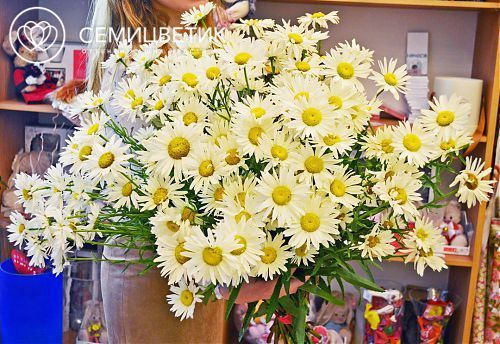 Букет из 25 кустовых ромашек
