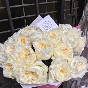 Букет из 25 белых пионовидных роз Patience 50 см (Эквадор)