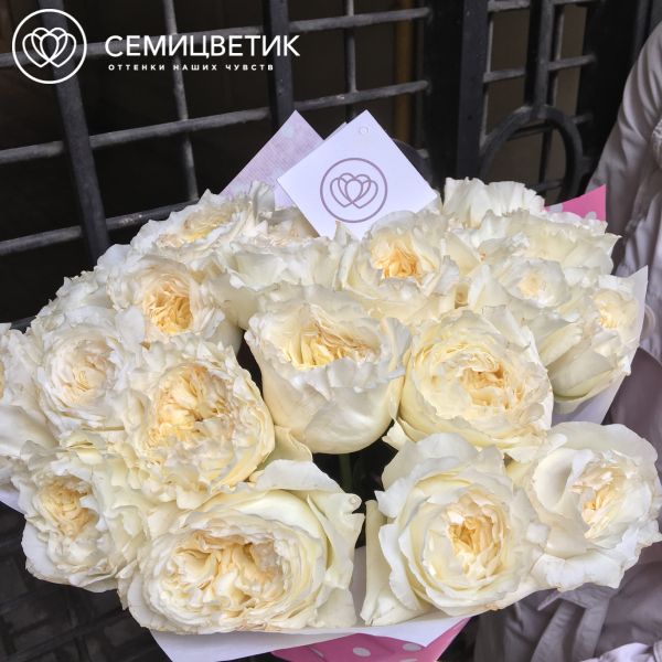 Букет из 25 белых пионовидных роз Patience 50 см (Эквадор)