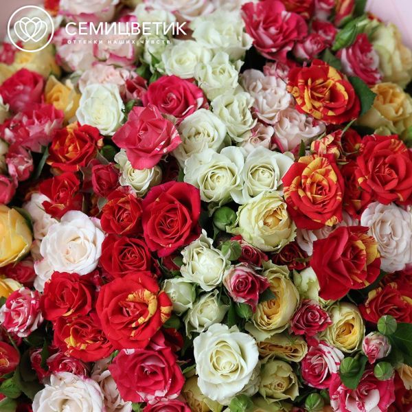 Букет из 51 кустовой розы 40 см микс (Кения) в розовой пленке
