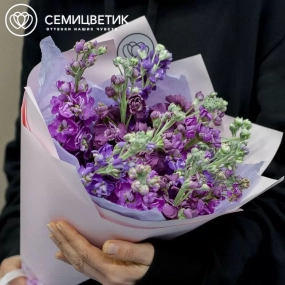 Букет из 15 махровых маттиол микс в сиреневой пленке