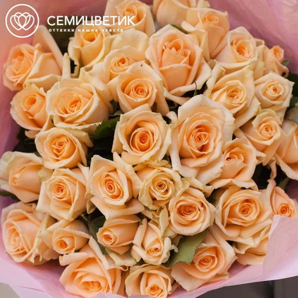 Букет из 35 кремовых роз 35-40 см (Россия)