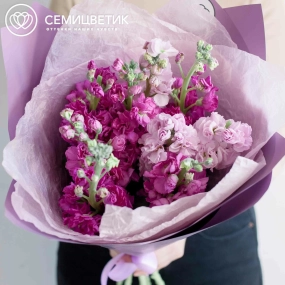 Букет из 9 сиреневых и розовых махровых маттиол в розовой пленке