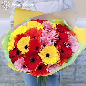 Монобукет  из 25 гербер мини микс