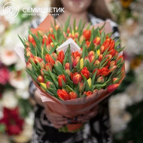 Букет из 101 оранжевого тюльпана в упаковке