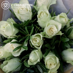 Букет из 15 белых роз 35-40 см (Кения) с фисташкой в кремовой пленке