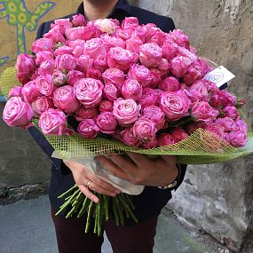 Букет из 51 розовой кустовой пионовидной розы Lady Bombastic 40 см