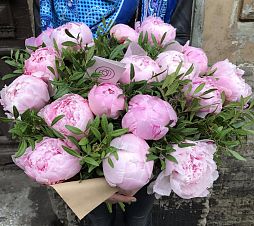 Букет из 17 розовых пионов Premium с зеленью