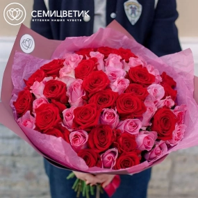 Букет из 51 красной и розовой розы 35-40 см (Россия) в розовой пленке