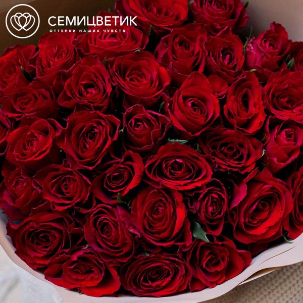 Букет из 35 красных роз 40 см (Кения) в кремовой пленке