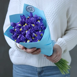 Букет из 19 синих ирисов