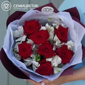 Букет из 7 красных роз 35-40 см (Россия) и 4 белых альстромерий в бордовой пленке