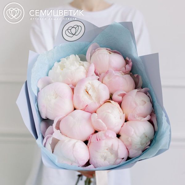 Букет из 11 нежно-розовых пионов Gardenia Premium в голубой пленке