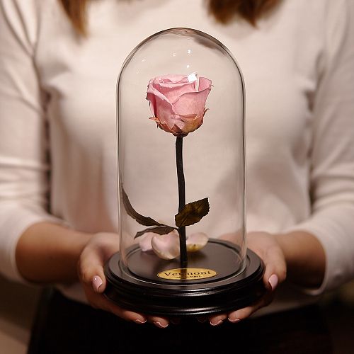 Розовая роза в колбе 22 см
