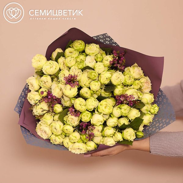 Букет из 25 бело-фисташковых кустовых пионовидных роз Blanchette 40 см с зеленью