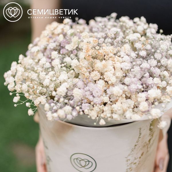 Букет в бежевой шляпной коробке Amour Mini из 7 гипсофил микс