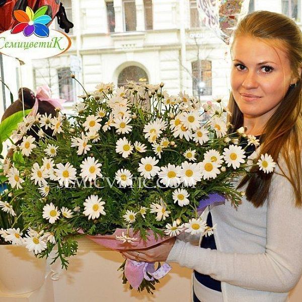 Букет из 51 ромашки кустовой