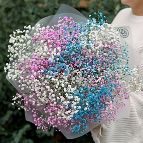 Букет из 11 гипсофил микс в прозрачной пленке