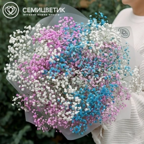 Букет из 11 гипсофил микс в прозрачной пленке