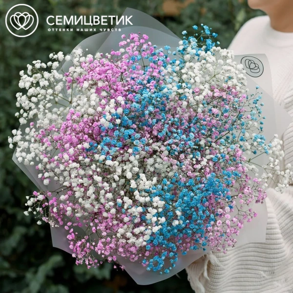 Букет из 11 гипсофил микс в прозрачной пленке
