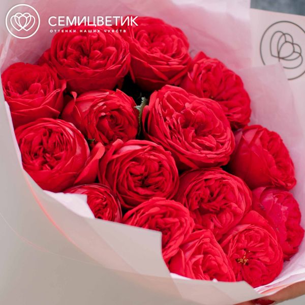Букет из 15 красных пионовидных роз Red Piano 40 см