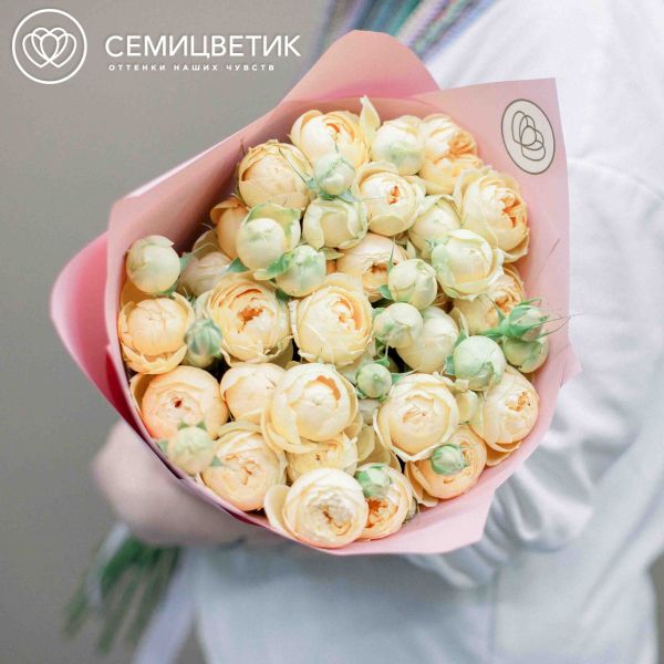 Букет из 15 кремовых кустовых пионовидных роз 70 см (Россия)