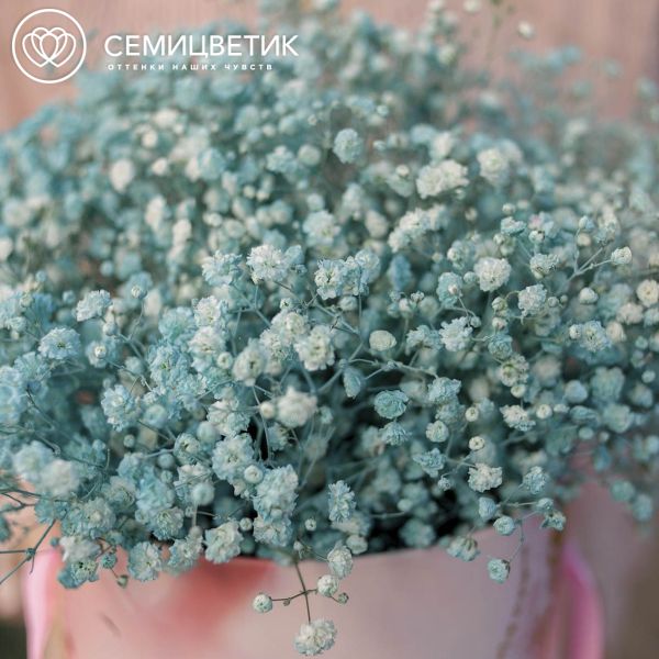 Букет в розовой шляпной коробке Amour Mini из 9 голубых гипсофил
