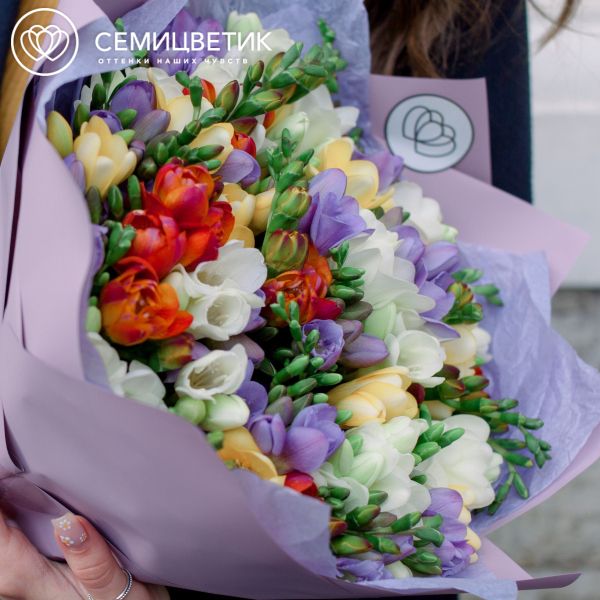 Букет из 51 фрезии микс