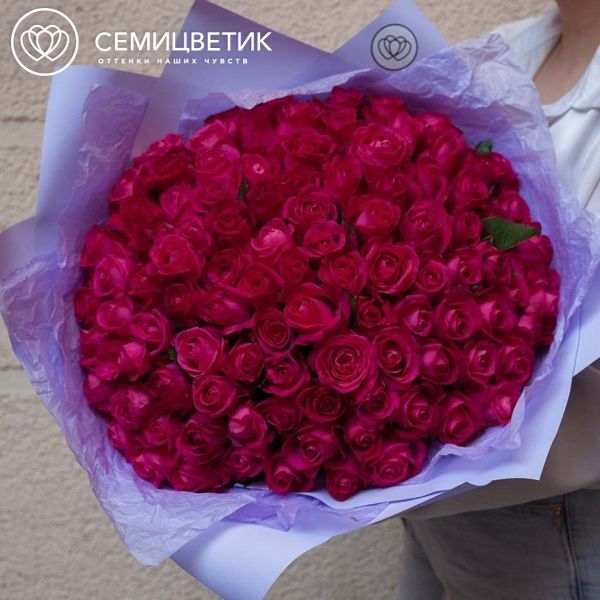 Букет из 101 малиновой розы 40 см (Россия)